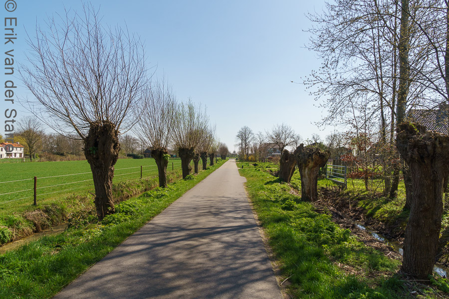 De Maas 6509282