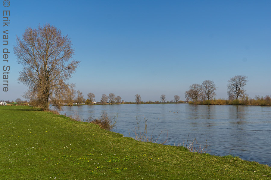 De Maas 6509317