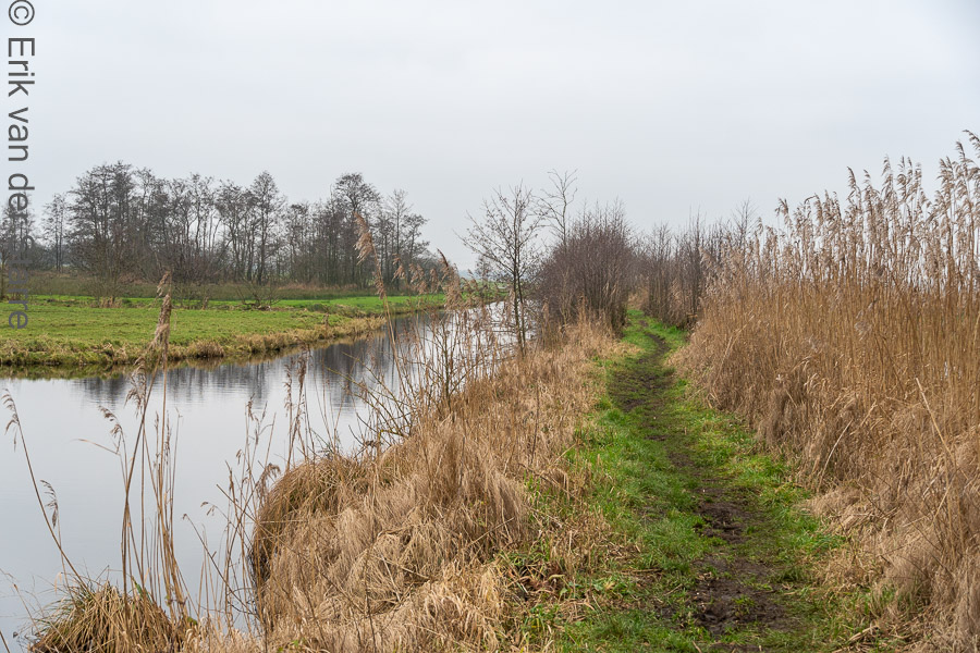 Krimpenerwaard 6506270
