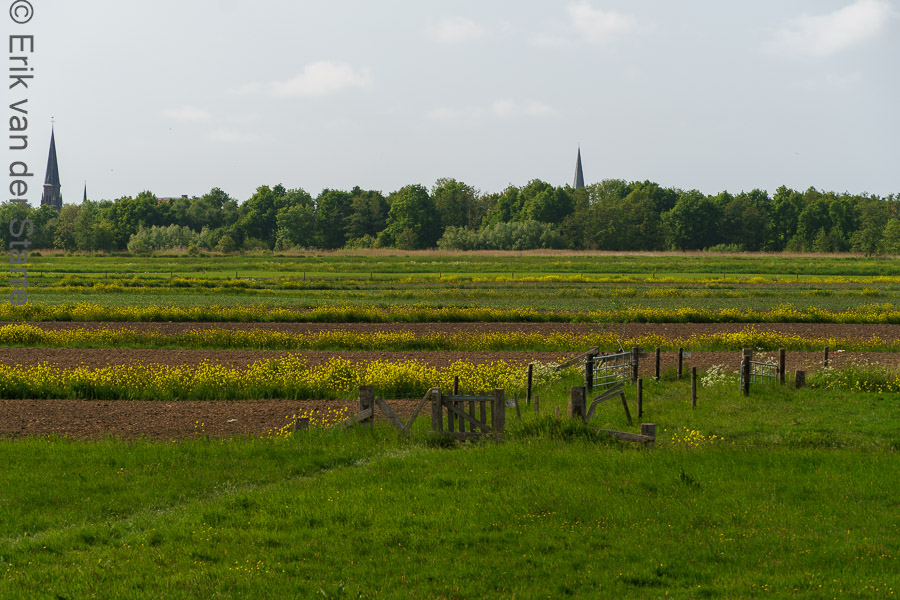 Midden Delfland 6502578
