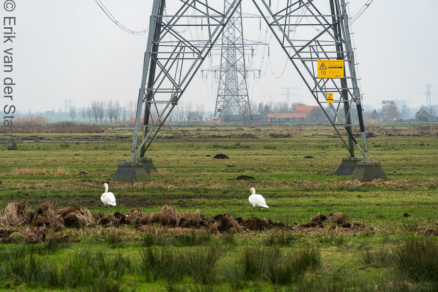 Krimpenerwaard 6506258
