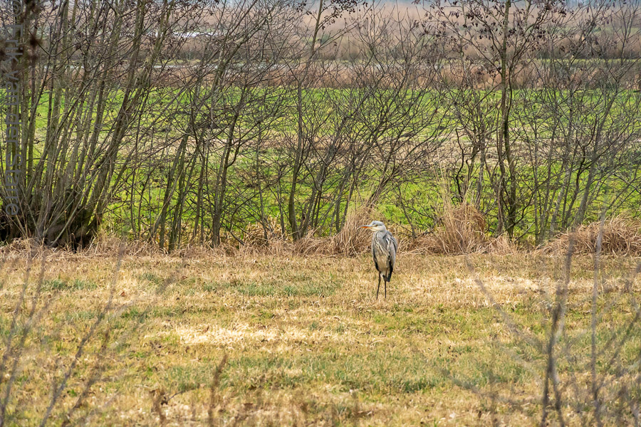 Krimpenerwaard 6506232