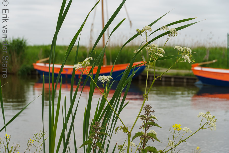 Midden Delfland 6502127