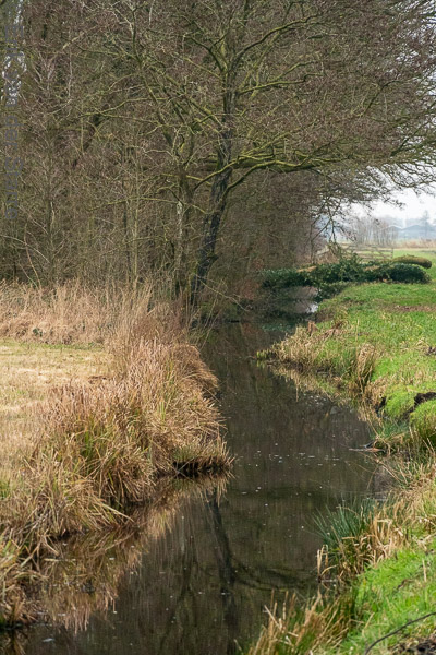 Krimpenerwaard 6506240