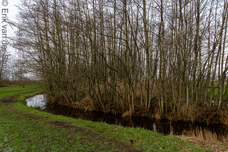 Krimpenerwaard 6506390