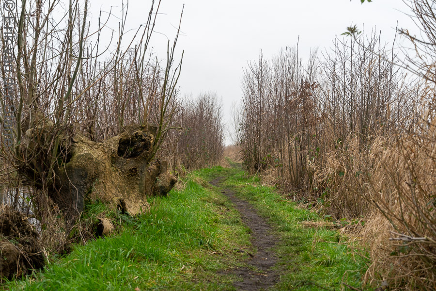 Krimpenerwaard 6506264