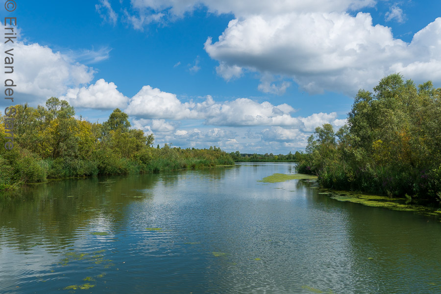 Trage Tocht Brabantse Biesbosch 6502794