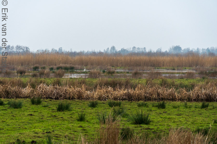 Krimpenerwaard 6506217