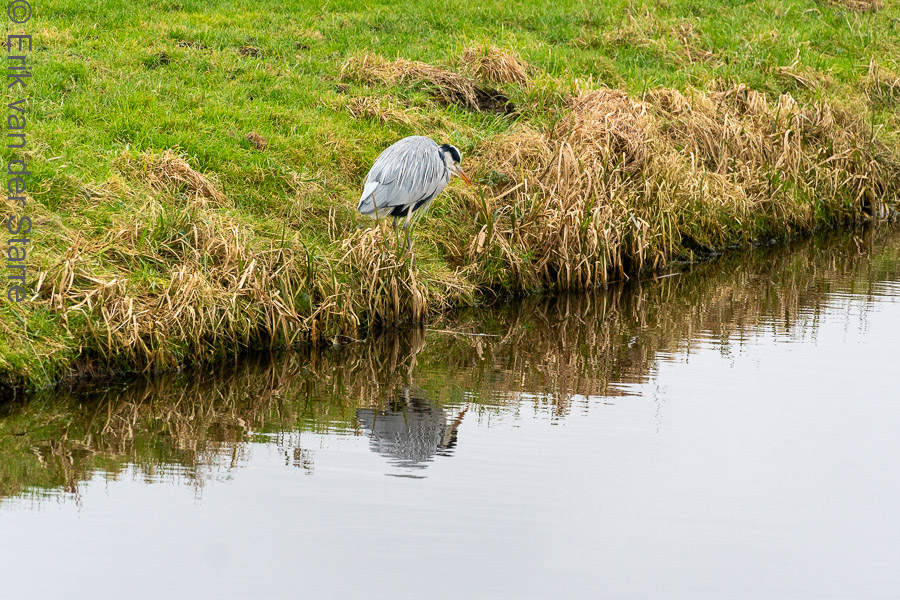 Krimpenerwaard 6506290
