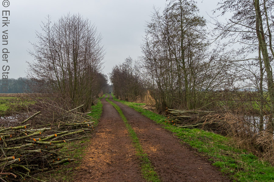 Krimpenerwaard 6506210