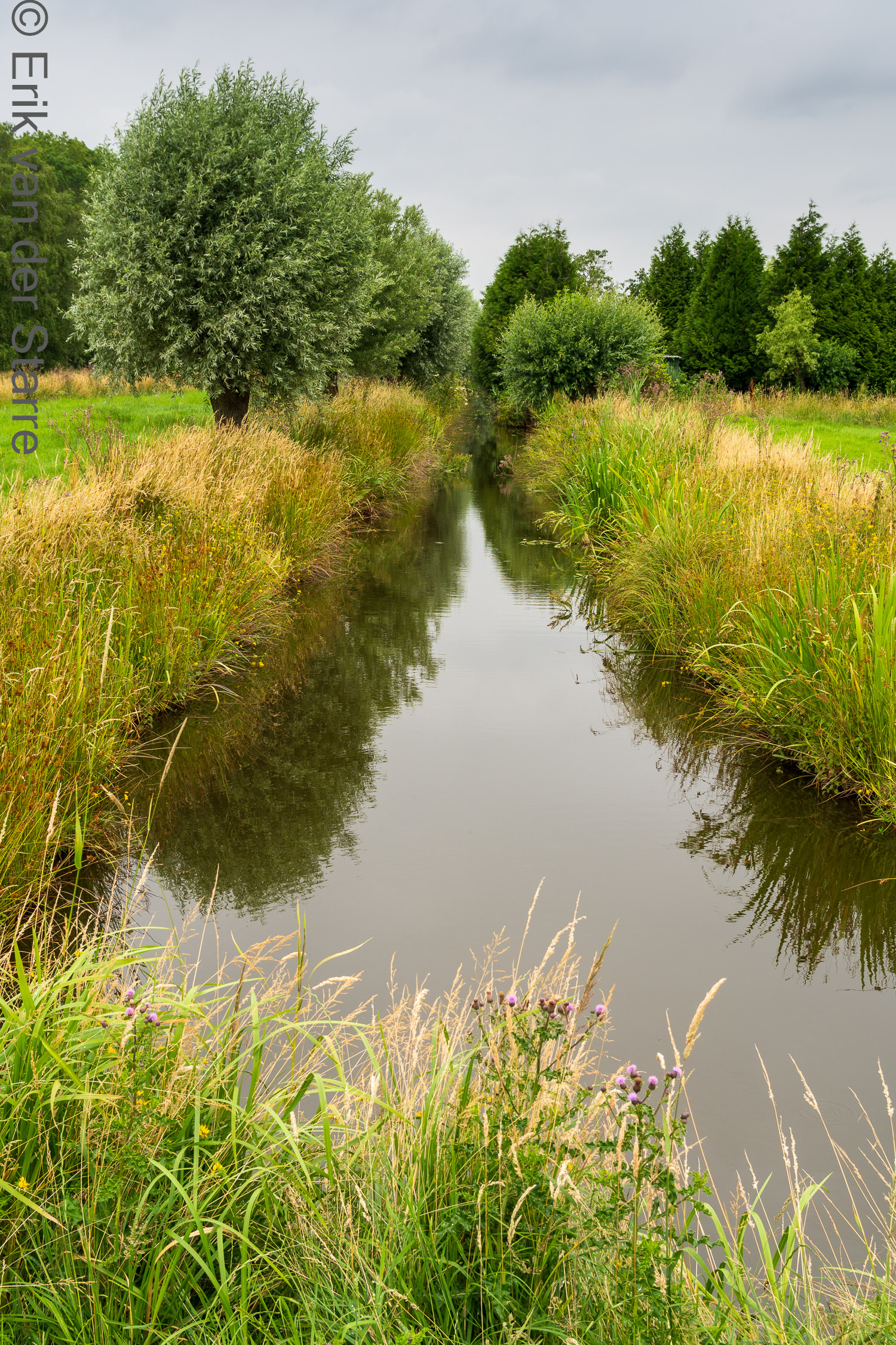 Trage Tocht Gouda 6509780