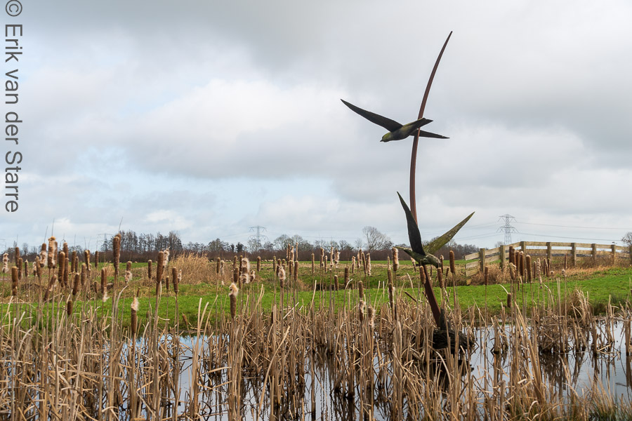 Krimpenerwaard 6506410