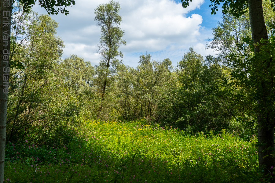 Trage Tocht Brabantse Biesbosch 6502865
