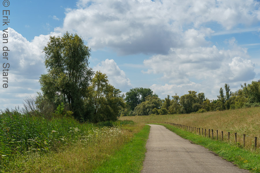 Trage Tocht Brabantse Biesbosch 6502809