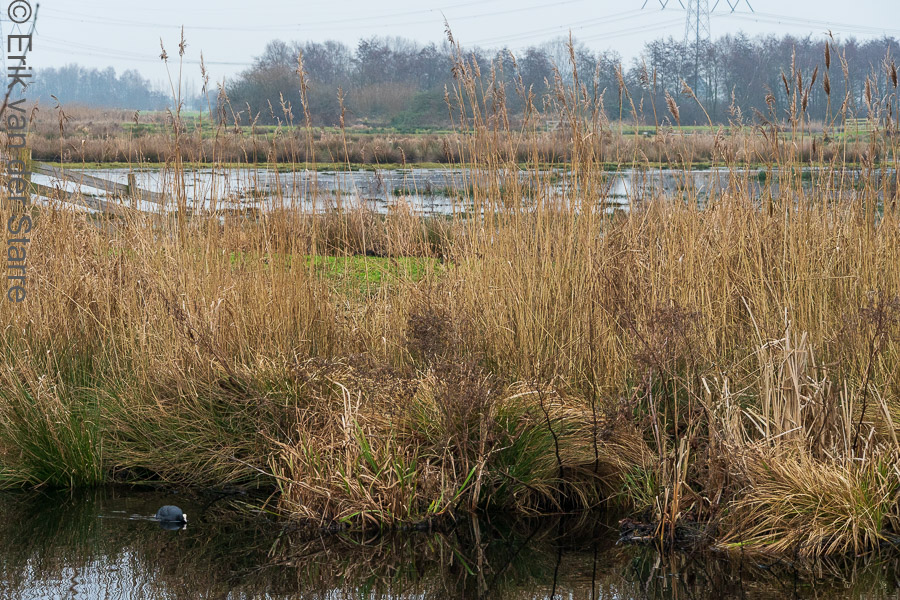 Krimpenerwaard 6506225