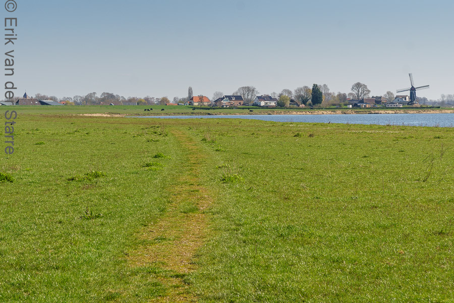 De Maas 6509248